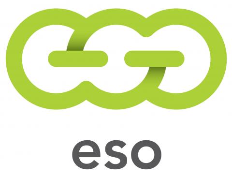 ESO atnaujina naujų klientų prijungimo sąlygas